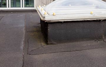 disadvantages of Friskney flat roofs