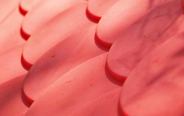 Friskney plastic roof costs