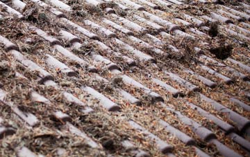 Friskney roof cleaning companies