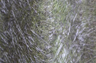 Friskney fibreglass roof work